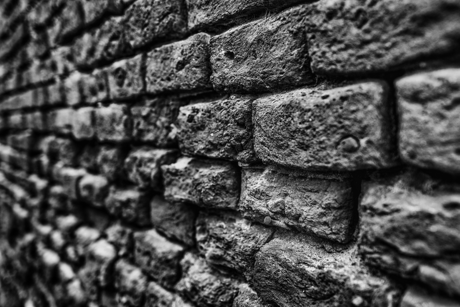 Fotografia di Francesco Nicosia