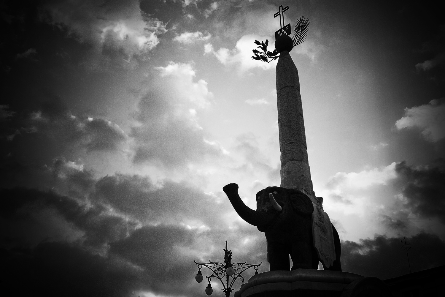 Fotografia di Francesco Nicosia